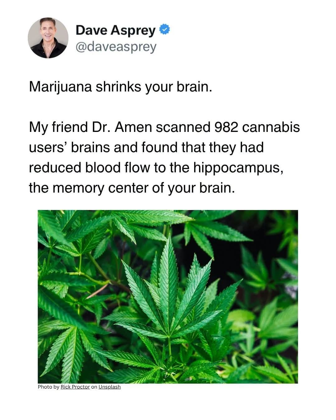 Context image for Does Cannabis Shrink Your Brain?